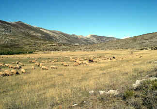 ledevens.jpg (96983 octets)