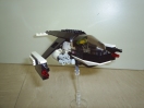 Sparrohawk image 2