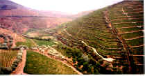 Valle de Douro(51080 octets)
