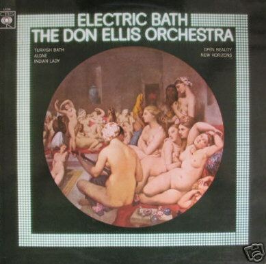 electric bath.jpg (42566 octets)