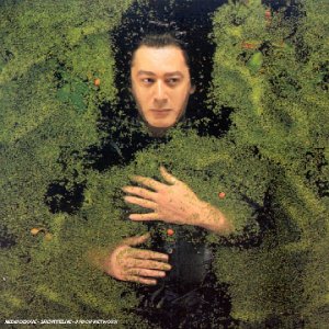 Alain Bashung - Fantaisie militaire.jpg (35591 octets)